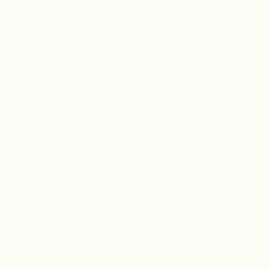 Arctic White 48x48 Matte