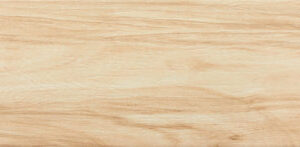 Montreal Beige 9x36