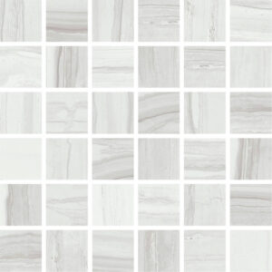 Square Mesh Emilia Gris Matte 12x12