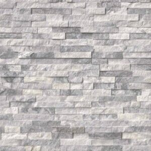 Alaska Gray Panel 6x24