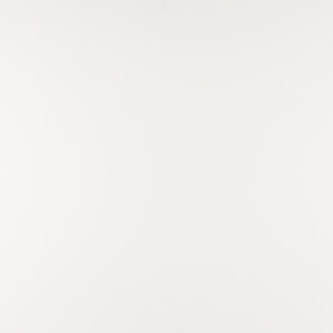 Arctic White 24x48 Polished
