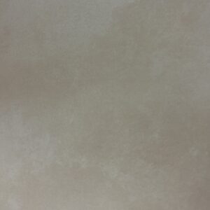 2016 Carolina Ivory II 11x18