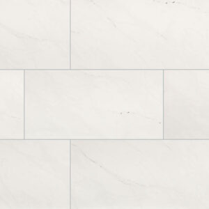 Aria Ice 24x48 Polished