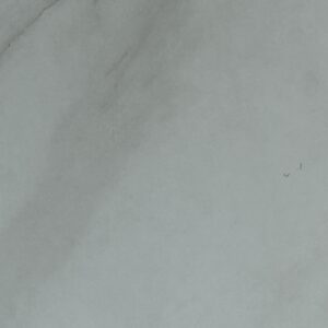 Bianco Calacatta 12x12