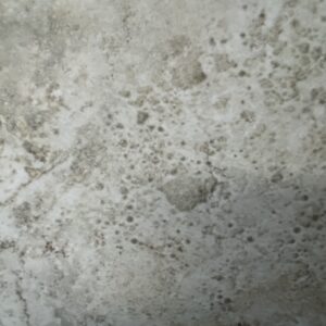 4540 Hymera Bianco 12x12