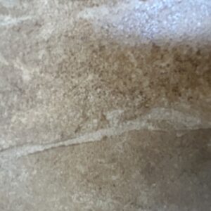 Silex Nuez 6x6